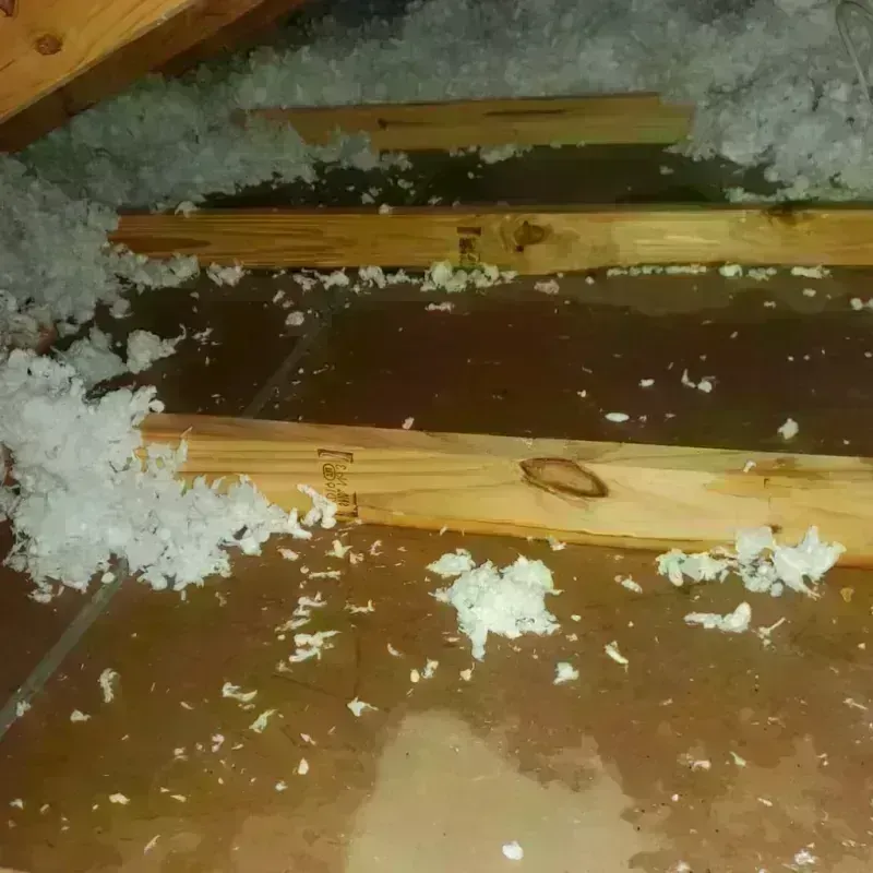 Attic Water Damage in Burgaw, NC